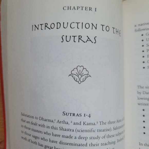 Kama Sutra Book - Picture 12 of 14